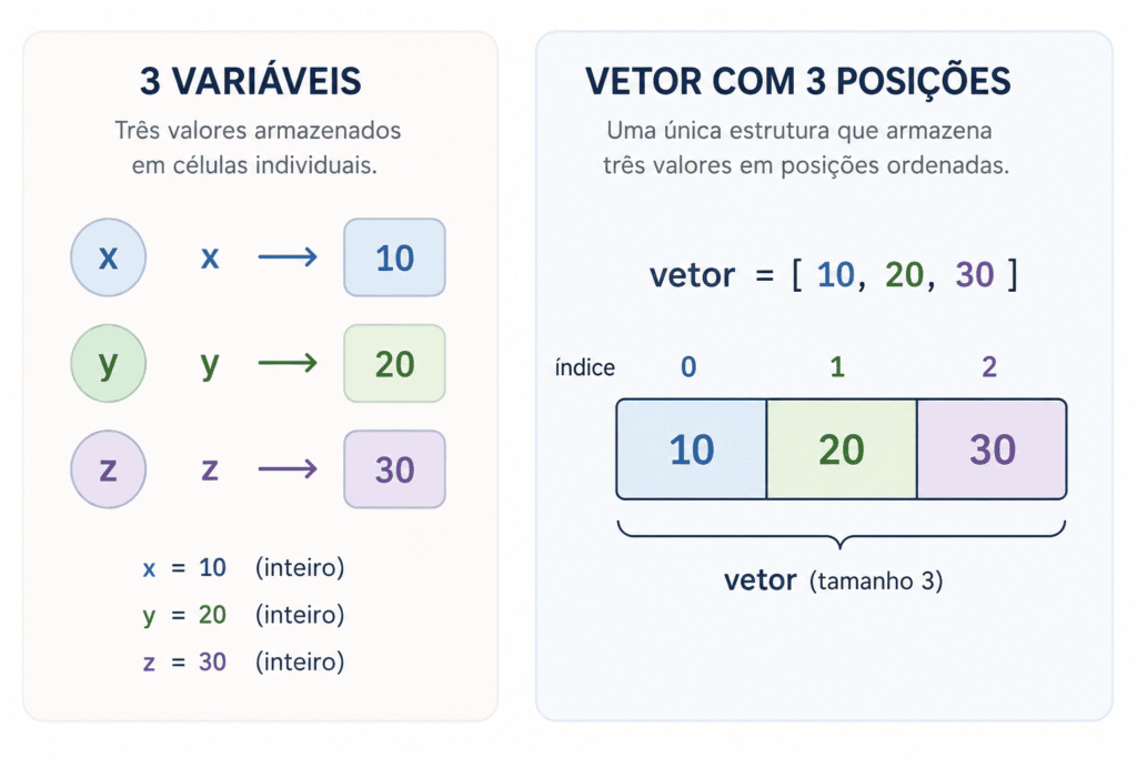 Vetor